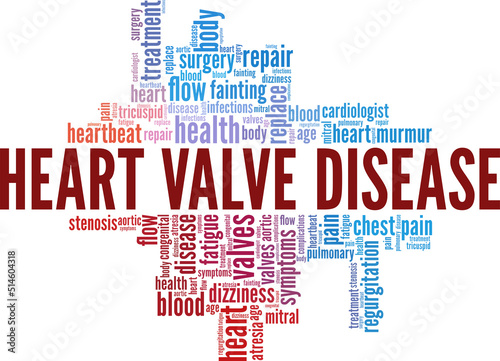 Heart Valve Disease word cloud conceptual design isolated on white background.