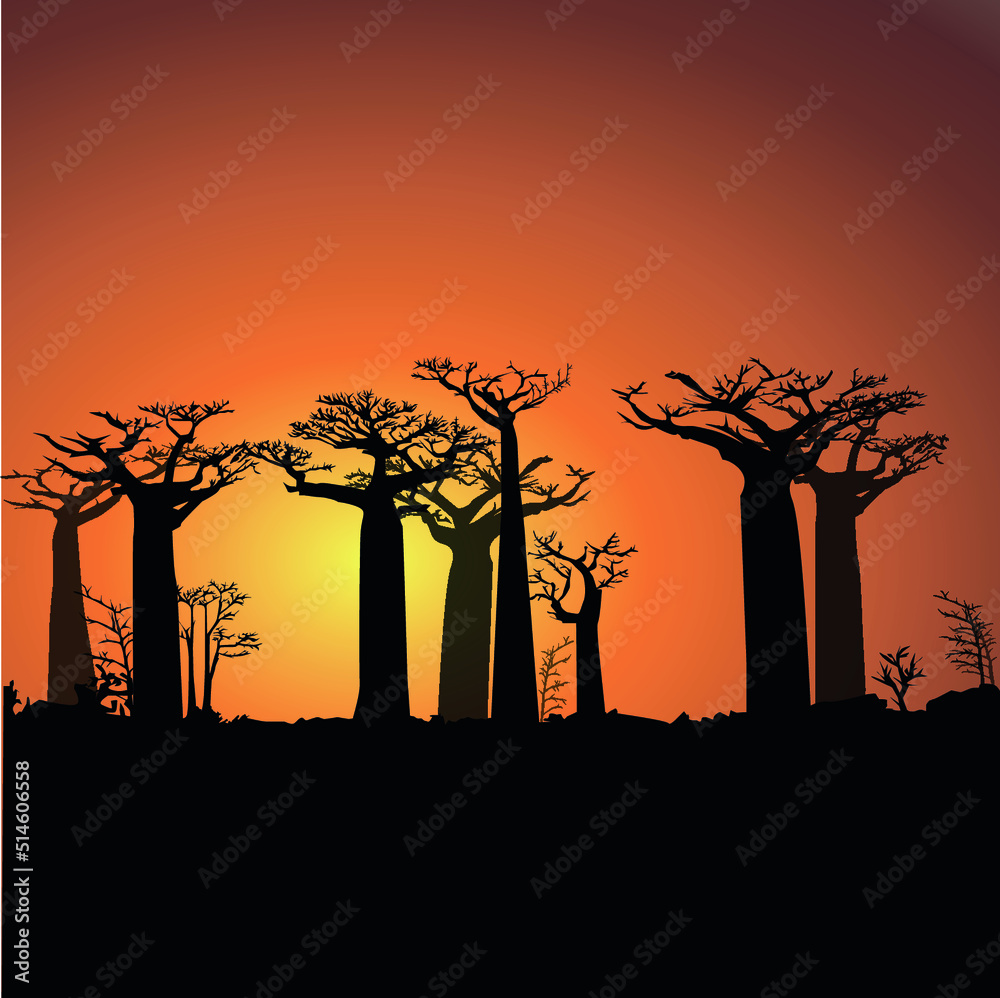 silhouette of a tree in sunset, vector illustration, savannah
