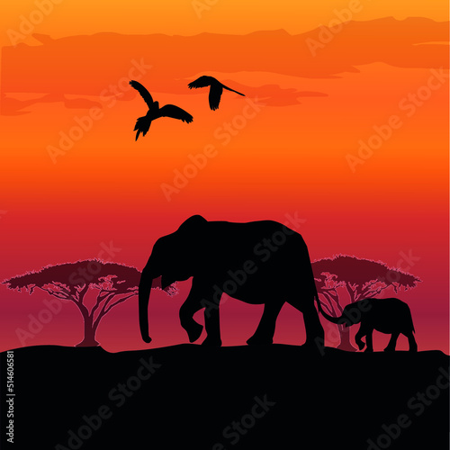 elephants in the shroud at sunset, wildlife vector illustration