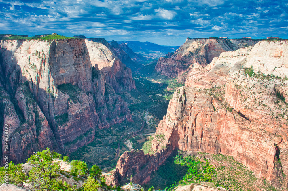 View from Observation Point, Zion NP, Utah, USA