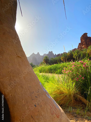 Beautiful valley view from the Wadi Disah with full of green grass and flower with limestone rock formation photo