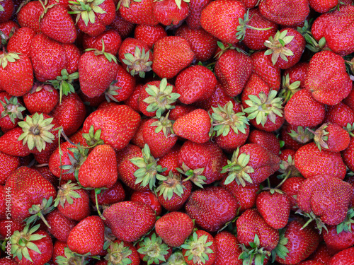 Fresh organic strawberries background