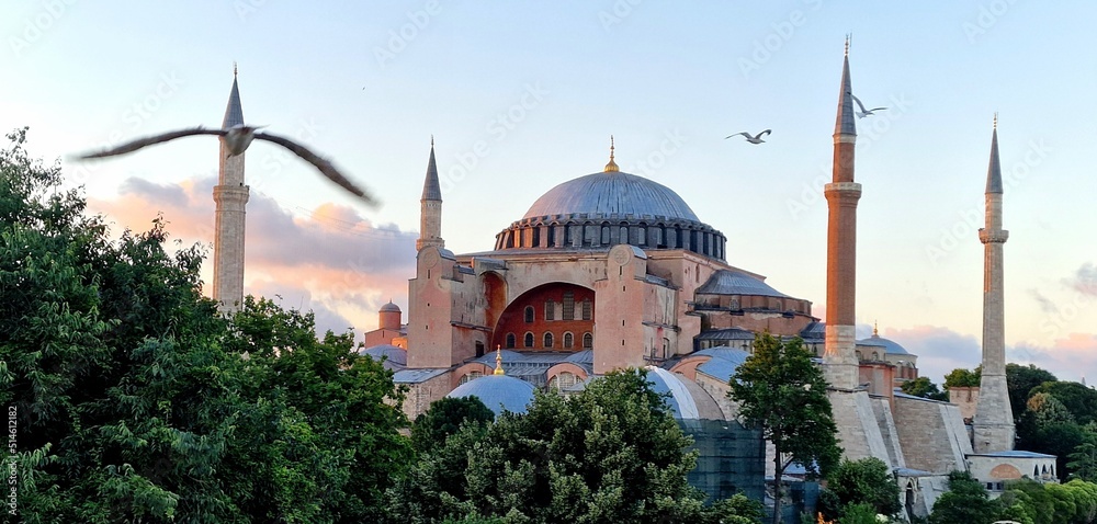 Fototapeta premium view of hagia sofia from behind green trees in the background blue sky and red clouds in foreground seagull