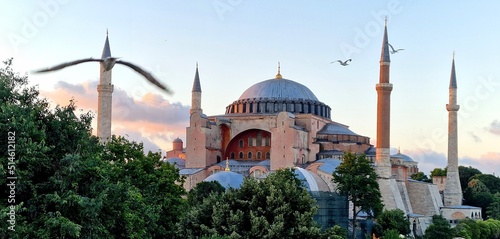view of hagia sofia from behind green trees in the background blue sky and red clouds in foreground seagull