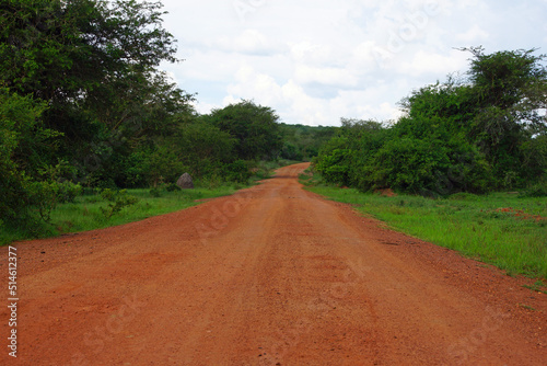 gravel red road surrounded by grass and stunted trees in uganda, africa        