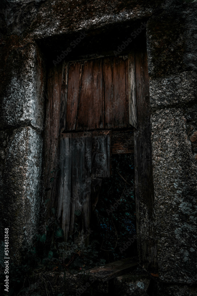 Old door 