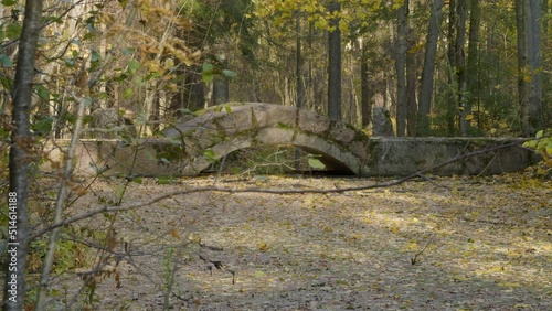 St. Petersburg in autumn, a natural monument landscape park 