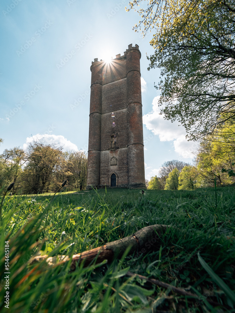 Fototapeta premium tower in the park, King Alfred's Tower, UK