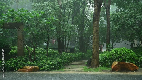 garden in a raining day with sound