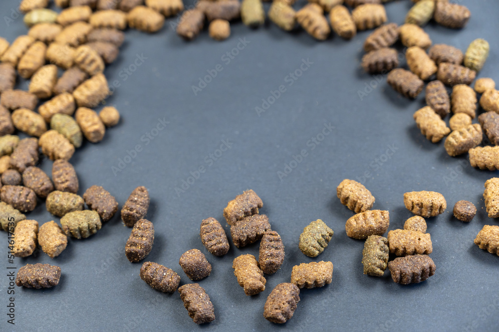 Obraz premium Close-up of colorful pellets of dry dog food. Oval-shaped pellets in front of the gray background. The pellets are brown, beige, and green. Copy space. Selective Focus.