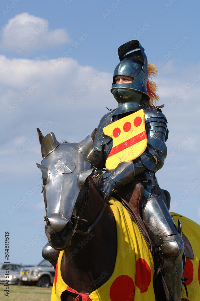 Naklejka premium Knights Jousting