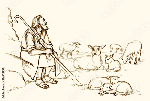 Shepherd with a sheeps on the field photo