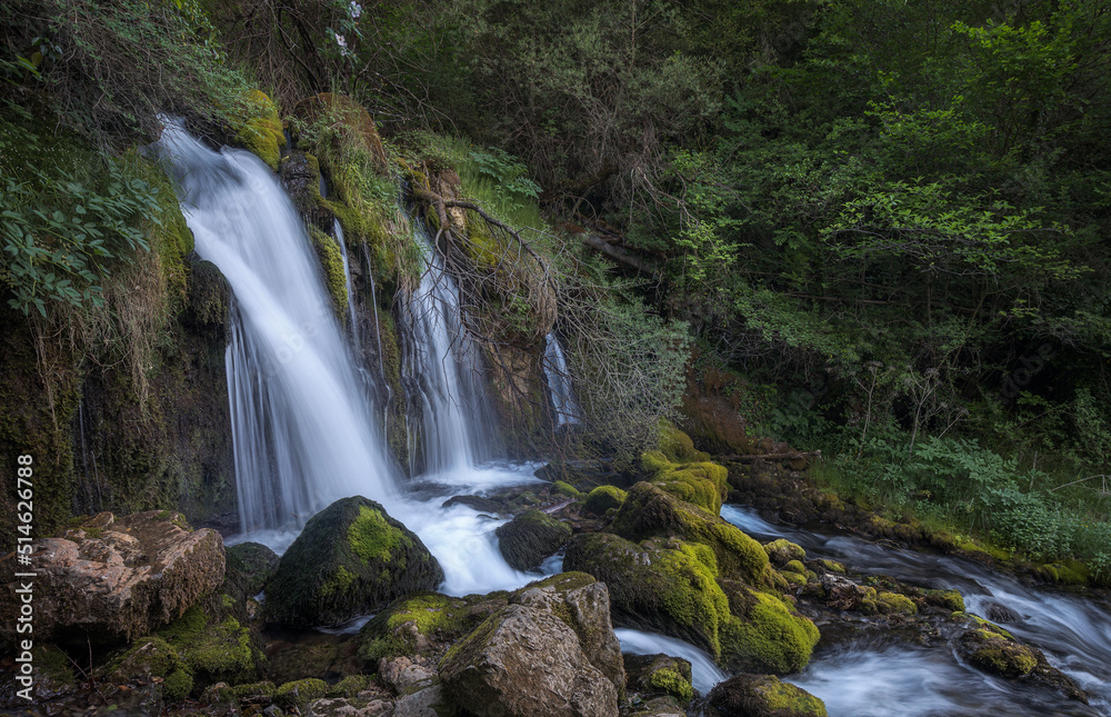 Fototapeta premium Spring of Bastareny river in Baga, Natural Park of Cadi Moixero, Catalonia