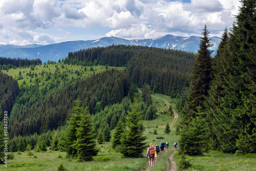 A group of tourists with backpacks moves through a valley in the Ukrainian Carpathians