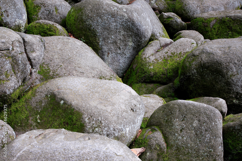 Felsen mit Moos