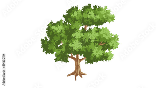 Tree with transparent background