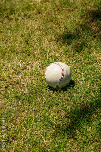 球場内に転がる硬式野球ボール