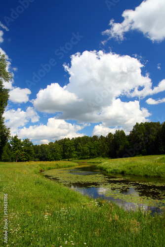 pond landscape in Pavlovsk park
