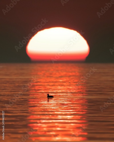 sunset in the sea