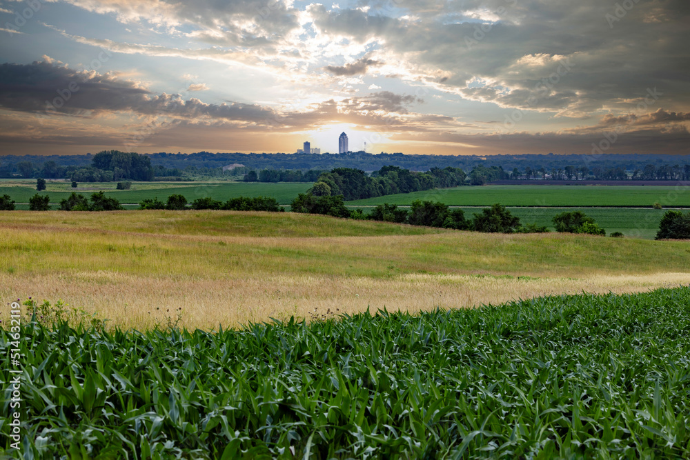 Des Moines skyline visible across farm fields in rural Iowa at sunrise. - obrazy, fototapety, plakaty 