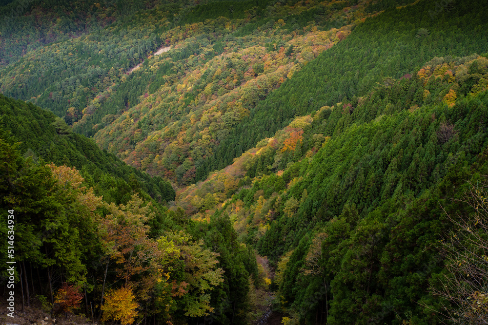 高野山の秋風景