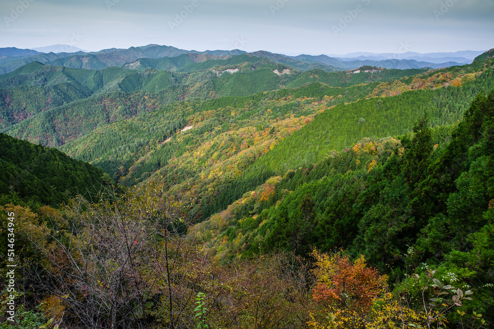 Naklejka premium 高野山の秋風景