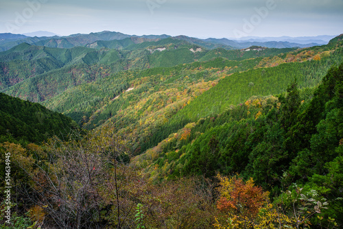 高野山の秋風景