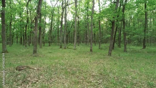 Drone taking off in Nature