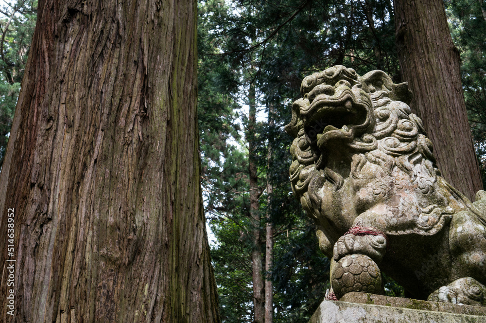 奈良 室生龍穴神社の狛犬