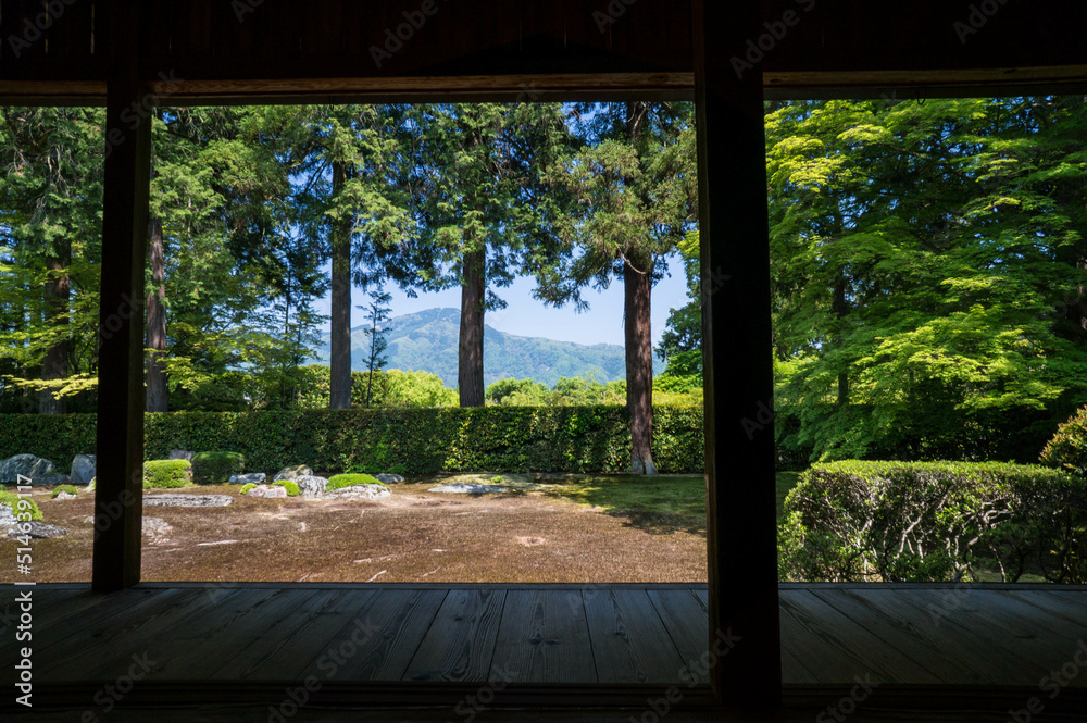 京都 圓光寺の庭園風景