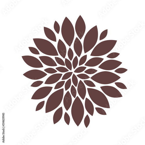 Petals and leaves of a flower arranged in a circle
