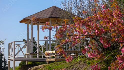 Beautiful white summer house on the background of blue sky. Tree branch with blooming pink flowers in the garden.