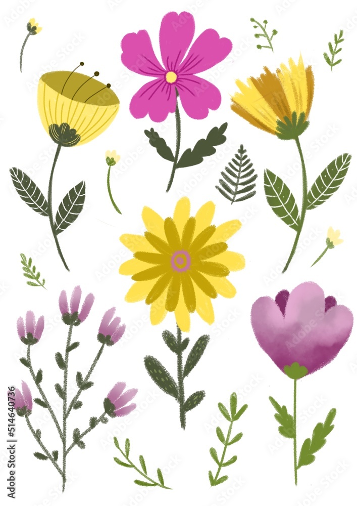 Set of spring pink and yellow illustrated flowers 