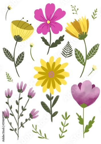 Set of spring pink and yellow illustrated flowers  © Natalya