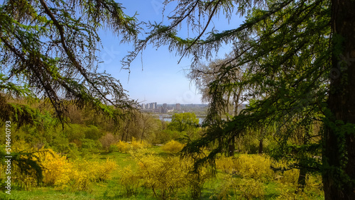 Beautiful city park on a summer sunny day. Cityscape in the background. Botanical garden in spring season.