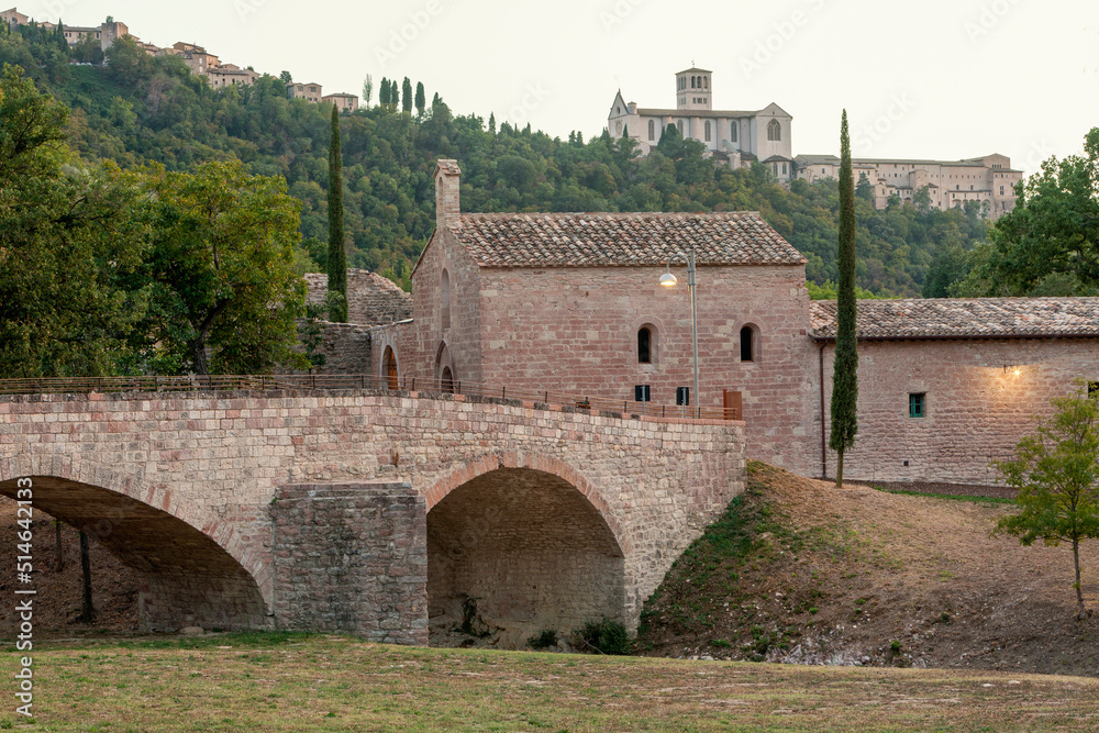 Fototapeta premium Assisi. Bosco di San Francesco