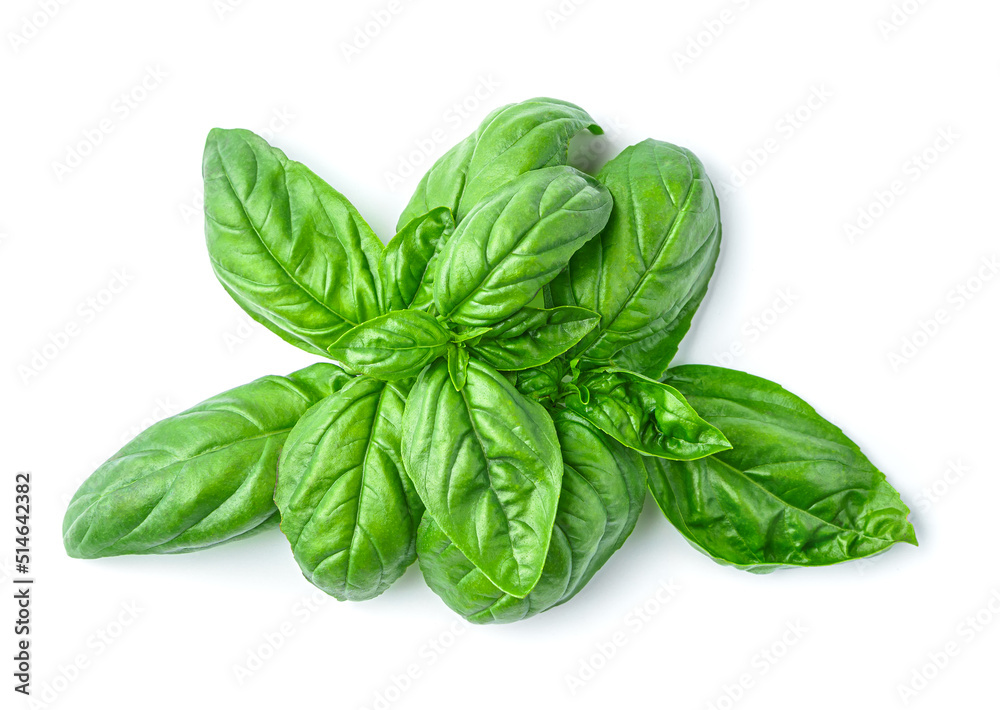 Ripe green basil leaves on a white background. Top view, close-up. Ripe green basil leaves on a white background. Top view, close-up.