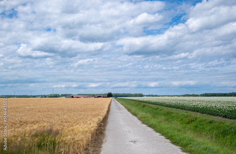 Agriculture in Flevoland province || Landbouw in Flevoland