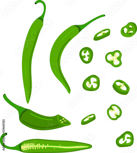 Hot pepper vector illustration. Hot pepper. Chilli. Cayenne pepper. Piece of pepper, pepper pieces with seeds, pepper circles, chopped pepper with seeds.