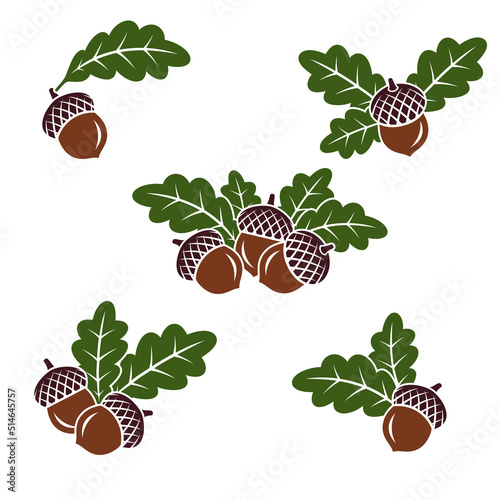 Acorns set. Collection icon acorns. Vector