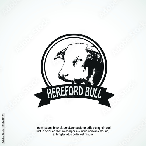 Hereford bull cattle farm logo ideas