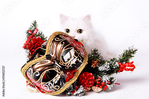 White Persian behind a Christmas mask in isolation on white