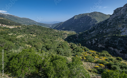 Southbound view of Lousios valley with Louysios river as seen from Dimitsana, Arcadia, Peloponnesw, Greece © MoVia1