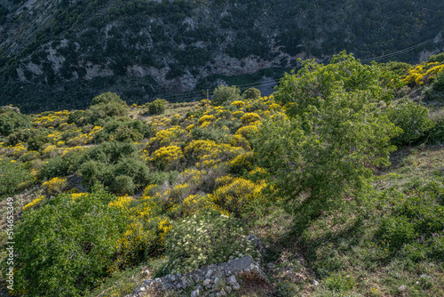 Southbound view of Lousios valley with Louysios river as seen from Dimitsana, Arcadia, Peloponnes, Greece
