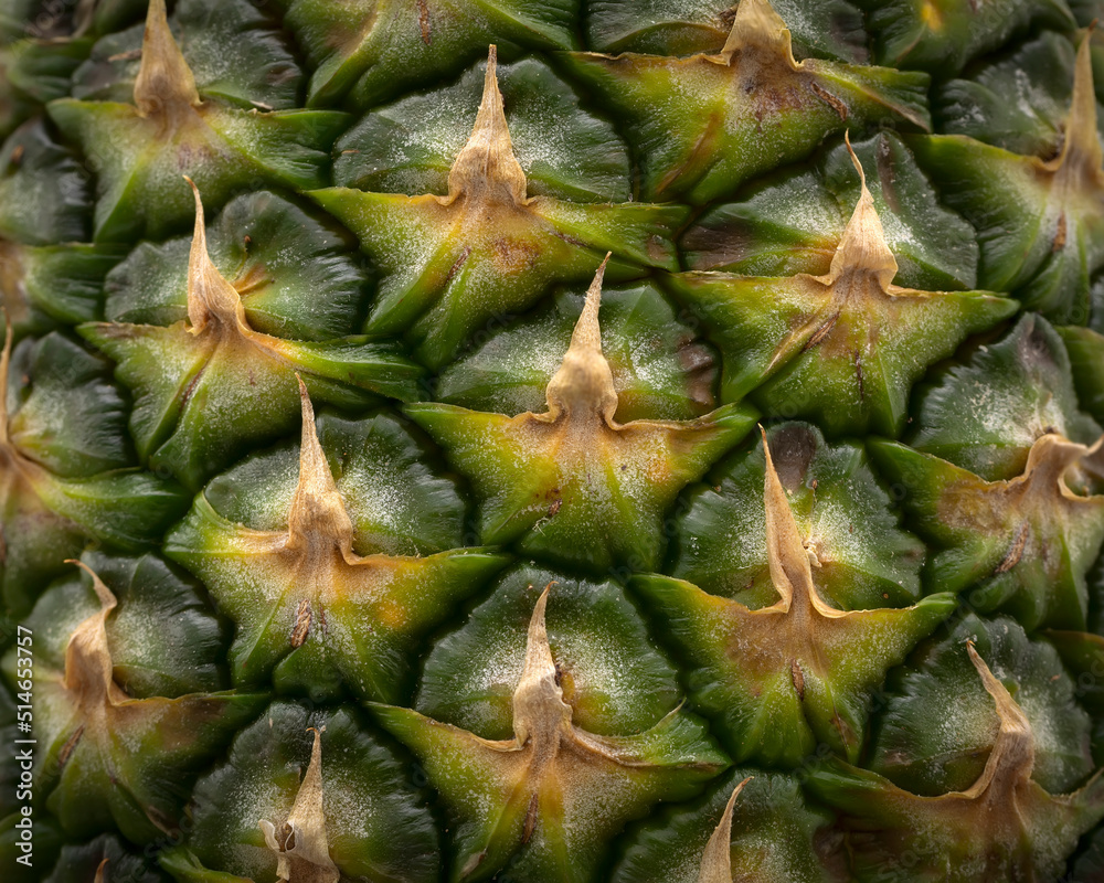 Pineapple skin texture macro shot Pineapple skin texture macro shot
