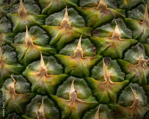 Pineapple skin texture macro shot