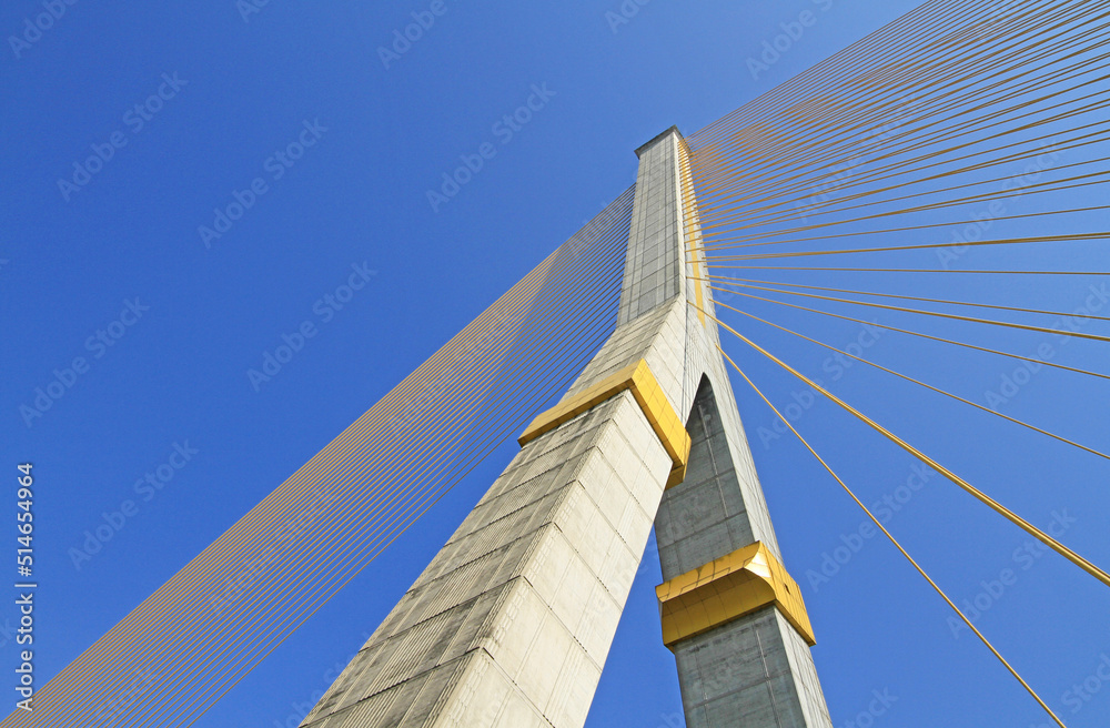 The Rama VIII Cable Bridge,Bangkok,Thailand The Rama VIII Cable Bridge,Bangkok,Thailand