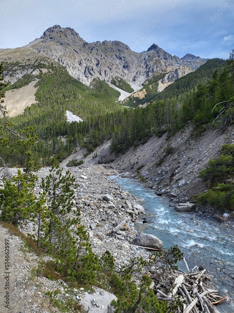 Beautiful summer landscape with refreshing river stream in Fuorn valley trail in Swiss National Park, Zernez, Canton Graubunden, Switzerland.