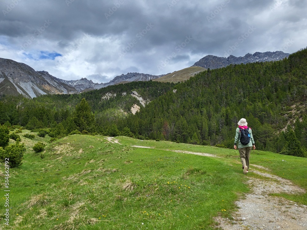 Hiking in Stabelchod trail in Swiss National Park, Zernez, Canton Graubunden, Switzerland.