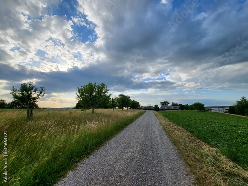 Beautiful grassland view during sunset in jogging track near Zurich airport, Switzerland.